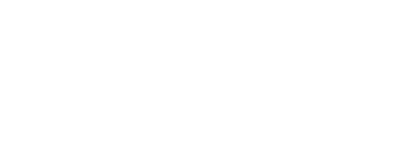 Graniitti logo valkoinen