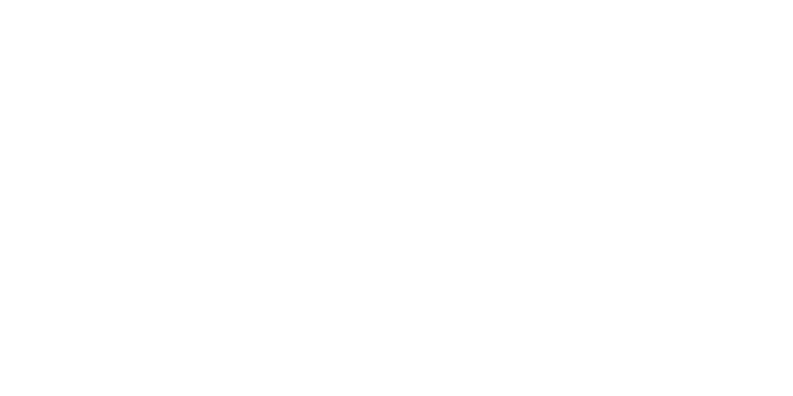 Graniitti logo valkoinen